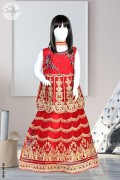 3538 - Girls 3Pcs Embroidered & Stitched Crinkle Chiffon Lehnga