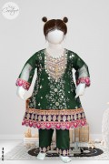 3960 - Baby 2Pcs Embroidered & Stitched Net Frock