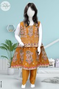 4188 - Girls 3Pcs Embroidered & Stitched Chiffon Frock