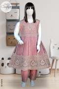 4272 - Girls 3Pcs Embroidered & Stitched Net Frock