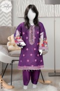 4432 - Girls 3Pcs Embroidered & Stitched Organza Midi Shirt